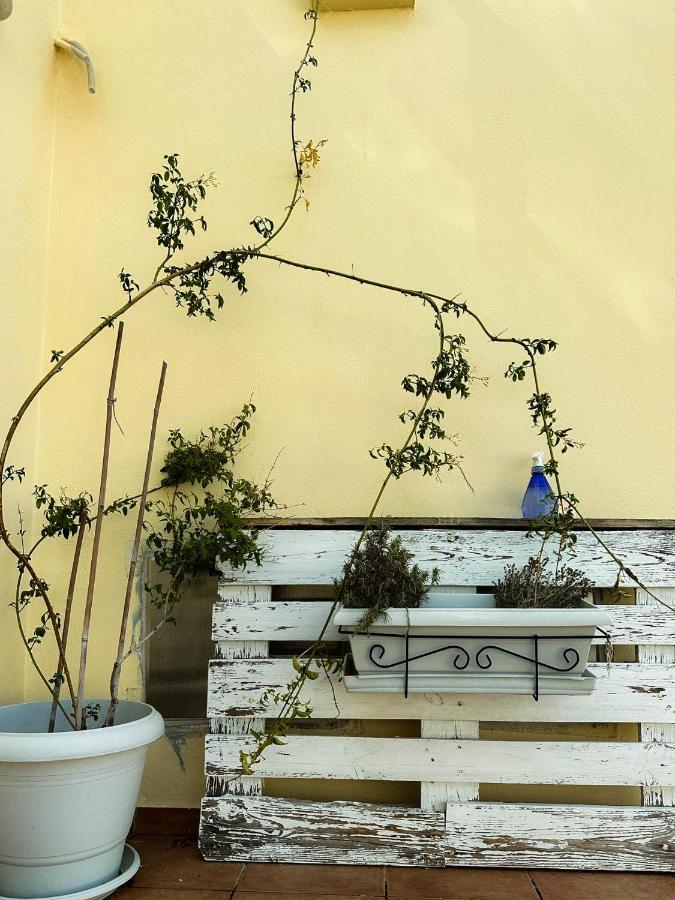Beachnest Apartment Agios Nikolaos  Exterior photo